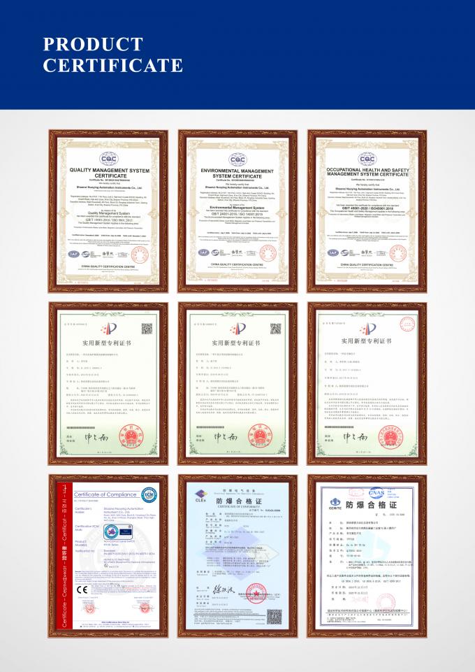 Máy đo mật độ NYDE Fork cho ứng dụng trộn các môi trường có độ nhớt cao và độ dẫn điện thấp 2