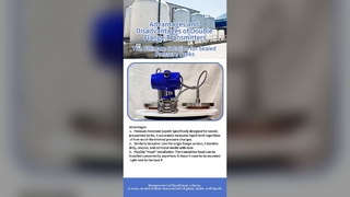 Giảm giá máy phát áp suất mặt bích đôi NY3051-4
